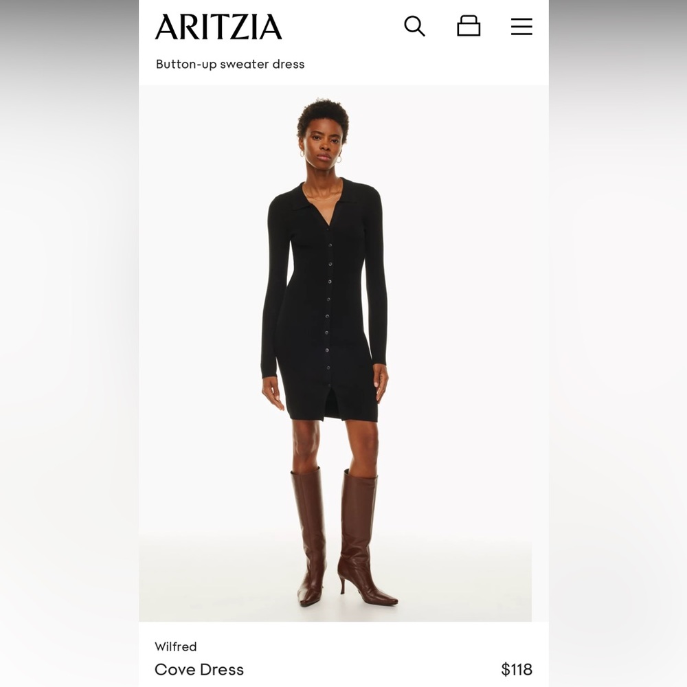 Aritzia Wilfred Cove dress